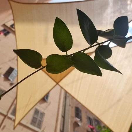 Lapo'S Apartment'S Roma Ngoại thất bức ảnh